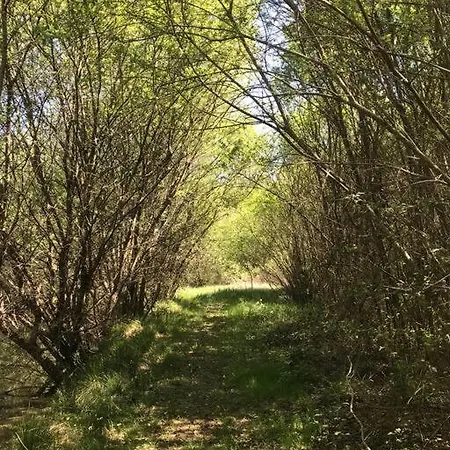 Peaceful, Comfortable Retreat With Pool Сasa de vacaciones Montcléra