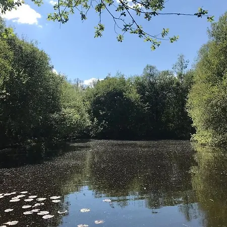 Peaceful, Comfortable Retreat With Pool Сasa de vacaciones