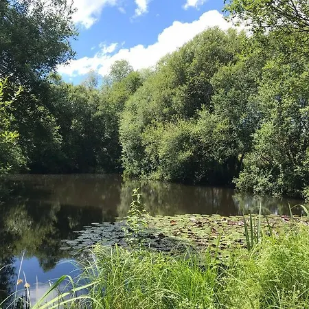 Peaceful, Comfortable Retreat With Pool *
