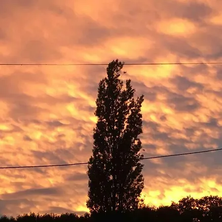 Peaceful, Comfortable Retreat With Pool Holiday home Montclera