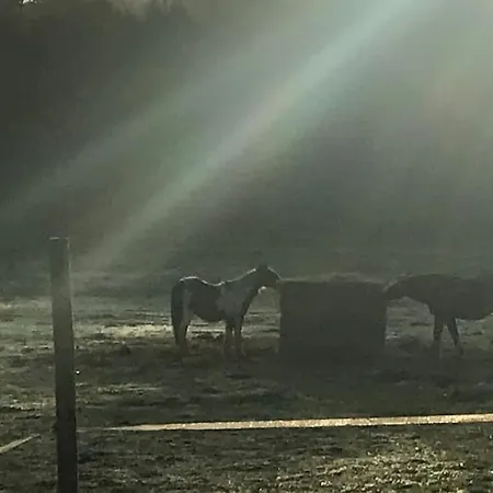 Peaceful, Comfortable Retreat With Pool *