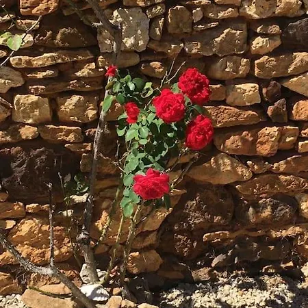 Peaceful, Comfortable Retreat With Pool *