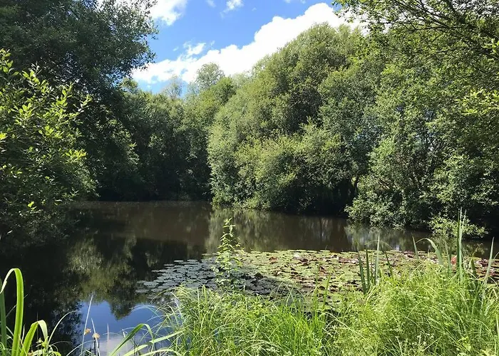 Peaceful, Comfortable Retreat With Pool *