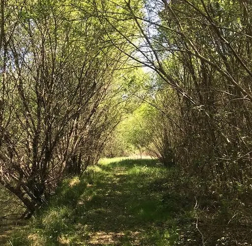 Peaceful, Comfortable Retreat With Pool Feriehus Montcléra