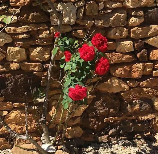 Peaceful, Comfortable Retreat With Pool *