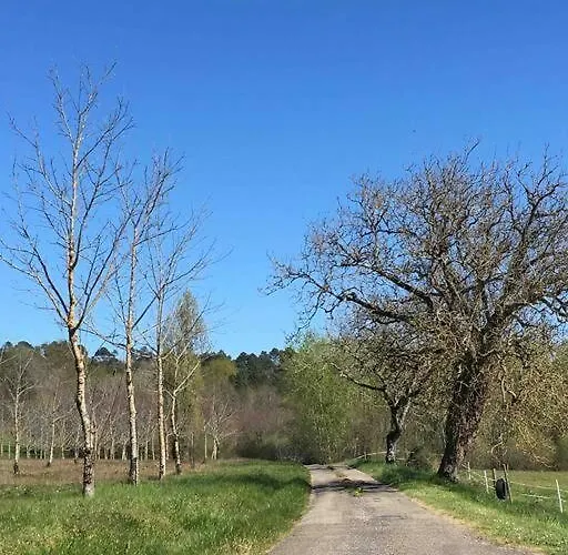 Feriehus Peaceful, Comfortable Retreat With Pool *