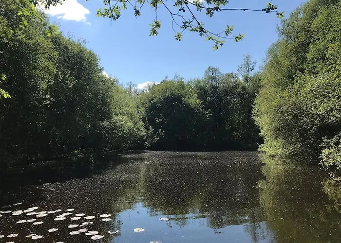 Peaceful, Comfortable Retreat With Pool Feriehus